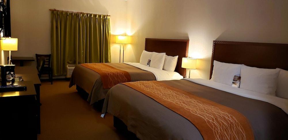Comfort Mini-hôtel 3*